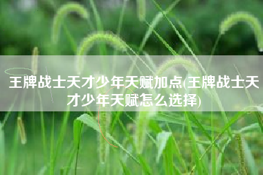 王牌战士天才少年天赋加点(王牌战士天才少年天赋怎么选择)