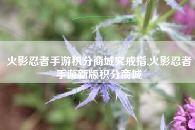 火影忍者手游积分商城究戒指,火影忍者手游新版积分商城