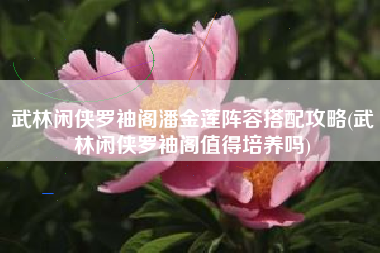 武林闲侠罗袖阁潘金莲阵容搭配攻略(武林闲侠罗袖阁值得培养吗)