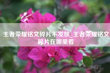 王者荣耀铭文碎片不发放_王者荣耀铭文碎片在哪里看