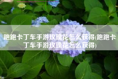 跑跑卡丁车手游玫瑰花怎么获得(跑跑卡丁车手游玫瑰花怎么获得)
