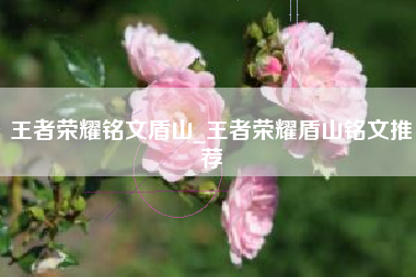 王者荣耀铭文盾山_王者荣耀盾山铭文推荐