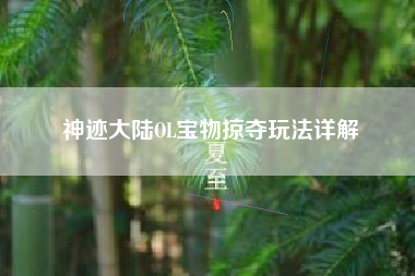 神迹大陆OL宝物掠夺玩法详解