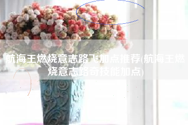 航海王燃烧意志路飞加点推荐(航海王燃烧意志路奇技能加点)