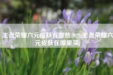 王者荣耀六元皮肤有哪些2022(王者荣耀六元皮肤在哪里买)