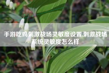 手游吃鸡刺激战场灵敏度设置,刺激战场系统灵敏度怎么样