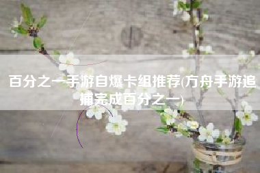 百分之一手游自爆卡组推荐(方舟手游追捕完成百分之一)