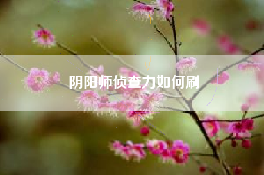 阴阳师侦查力如何刷