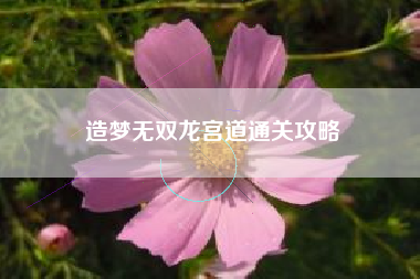 造梦无双龙宫道通关攻略