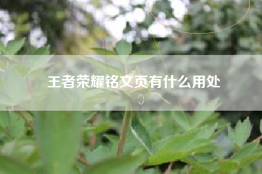 王者荣耀铭文页有什么用处