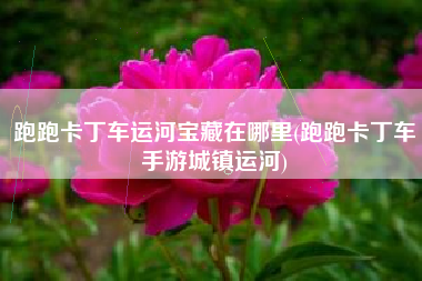 跑跑卡丁车运河宝藏在哪里(跑跑卡丁车手游城镇运河)