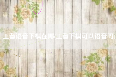 王者语音下棋在哪(王者下棋可以语音吗)