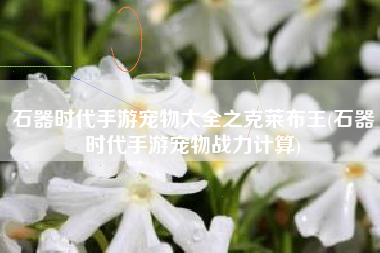 石器时代手游宠物大全之克莱布王(石器时代手游宠物战力计算)