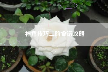 神角技巧二阶食谱攻略