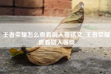 王者荣耀怎么查看别人带铭文_王者荣耀查看别人等级