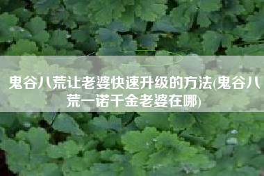 鬼谷八荒让老婆快速升级的方法(鬼谷八荒一诺千金老婆在哪)