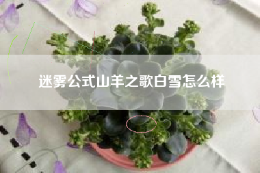 迷雾公式山羊之歌白雪怎么样