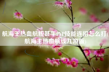 航海王热血航线甚平PVP技能连招怎么打(航海王热血航线九游版)