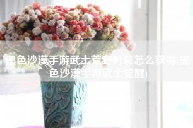 黑色沙漠手游武士荒野时装怎么获得(黑色沙漠手游武士觉醒)