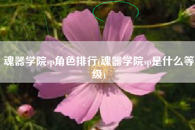 魂器学院sp角色排行(魂器学院sp是什么等级)