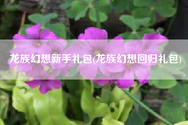 龙族幻想新手礼包(龙族幻想回归礼包)
