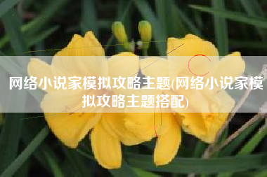 网络小说家模拟攻略主题(网络小说家模拟攻略主题搭配)
