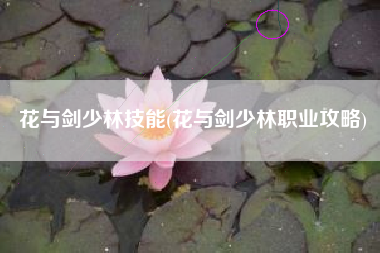 花与剑少林技能(花与剑少林职业攻略)