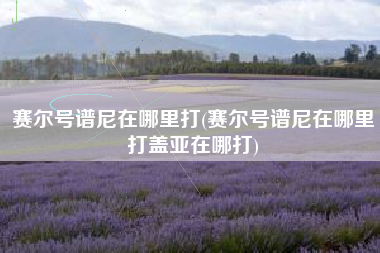 赛尔号谱尼在哪里打(赛尔号谱尼在哪里打盖亚在哪打)