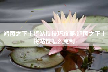 鸿图之下主将站位技巧攻略(鸿图之下主将站位怎么克制)