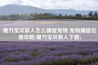 魔力宝贝旅人怎么捕捉宠物 宠物捕捉位置攻略(魔力宝贝旅人下载)