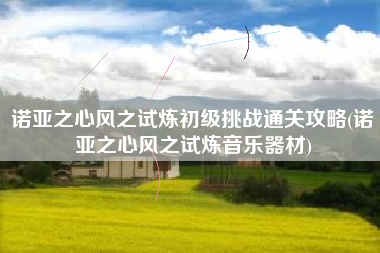 诺亚之心风之试炼初级挑战通关攻略(诺亚之心风之试炼音乐器材)