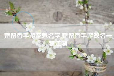 楚留香手游花魁名字,楚留香手游改名一梦江湖