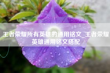 王者荣耀所有英雄的通用铭文_王者荣耀英雄通用铭文搭配
