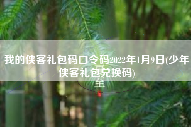 我的侠客礼包码口令码2022年1月9日(少年侠客礼包兑换码)