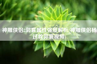 神雕侠侣2郭襄属性强度解析(神雕侠侣杨过救郭襄视频)