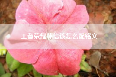 王者荣耀韩信该怎么配铭文