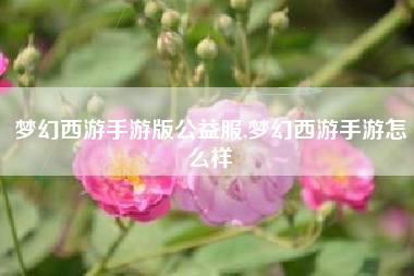 梦幻西游手游版公益服,梦幻西游手游怎么样