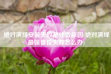 绝对演绎安装失败是什么原因(绝对演绎最强番位失败怎么办)