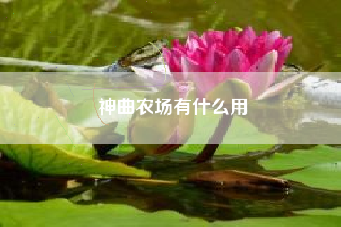 神曲农场有什么用
