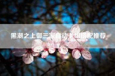黑潮之上御三家自动卡组搭配推荐