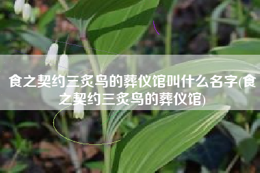 食之契约三炙鸟的葬仪馆叫什么名字(食之契约三炙鸟的葬仪馆)