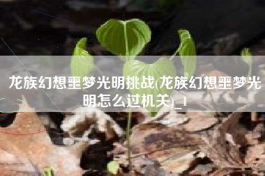 龙族幻想噩梦光明挑战(龙族幻想噩梦光明怎么过机关)_1