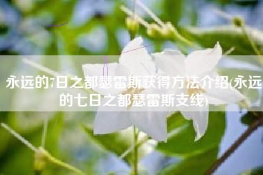 永远的7日之都瑟雷斯获得方法介绍(永远的七日之都瑟雷斯支线)