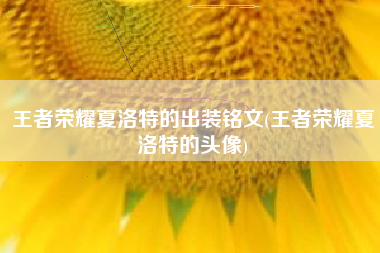 王者荣耀夏洛特的出装铭文(王者荣耀夏洛特的头像)