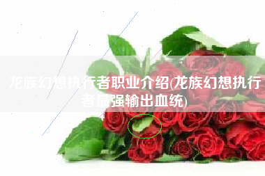 龙族幻想执行者职业介绍(龙族幻想执行者最强输出血统)
