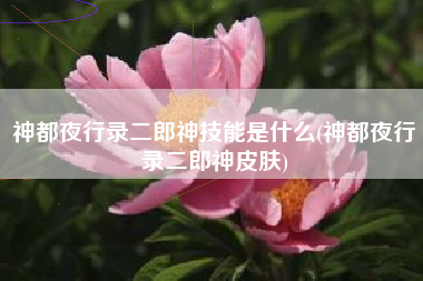 神都夜行录二郎神技能是什么(神都夜行录二郎神皮肤)