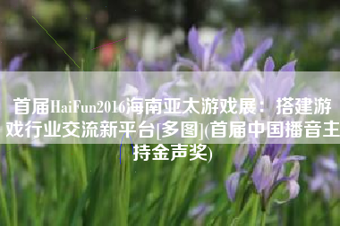 首届HaiFun2016海南亚太游戏展：搭建游戏行业交流新平台[多图](首届中国播音主持金声奖)