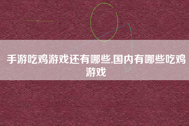 手游吃鸡游戏还有哪些,国内有哪些吃鸡游戏