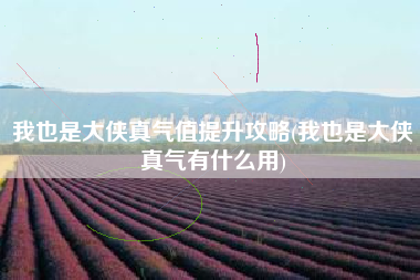 我也是大侠真气值提升攻略(我也是大侠真气有什么用)