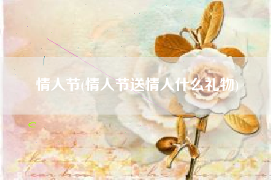 情人节(情人节送情人什么礼物)